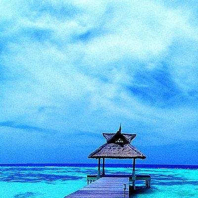 kok全站app官网登录入口